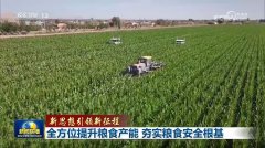 笼盖农业出产的耕、种、管、收各个