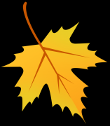 富多彩的节气插图